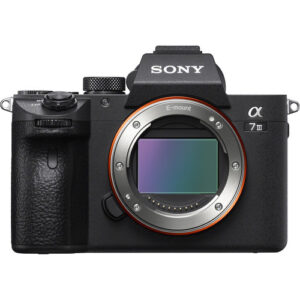 Mirrorless camera