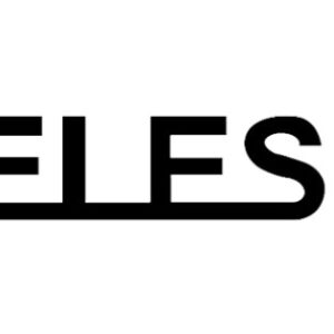 Telesin